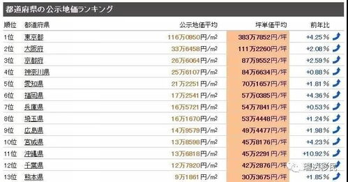 山东大集物价震撼日本导演竹内亮